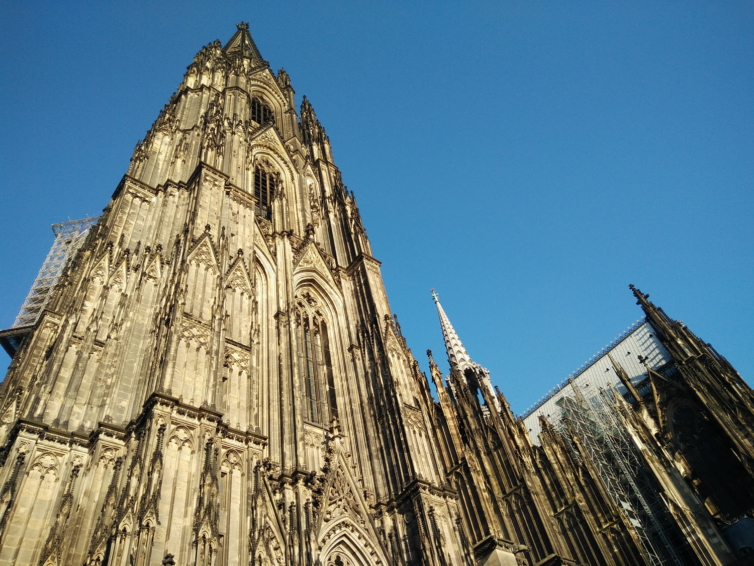 koeln_burger_geburtstag_1